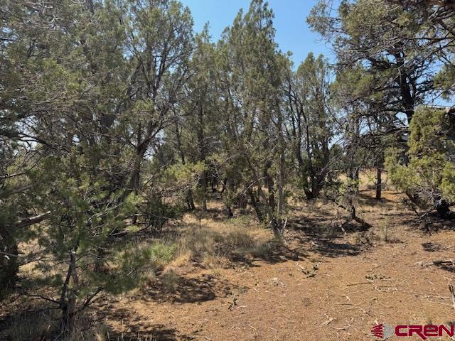 39 Salt Brush Street