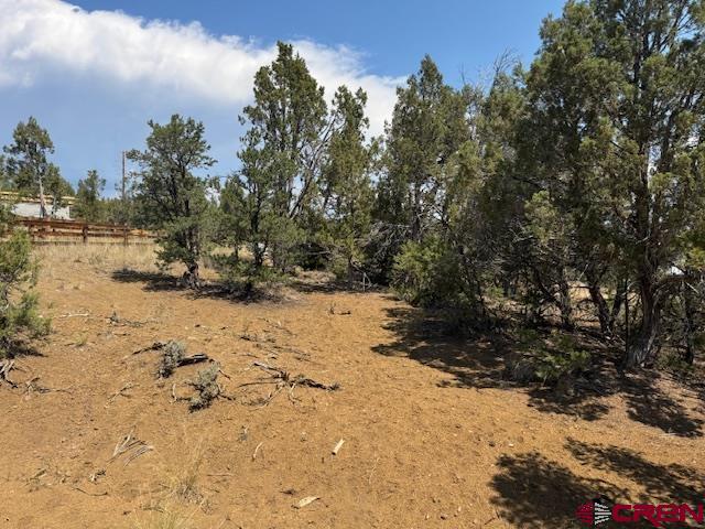 39 Salt Brush Street