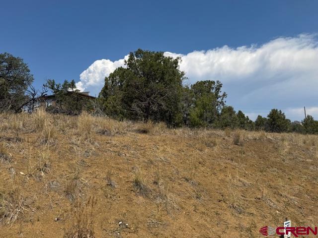 39 Salt Brush Street