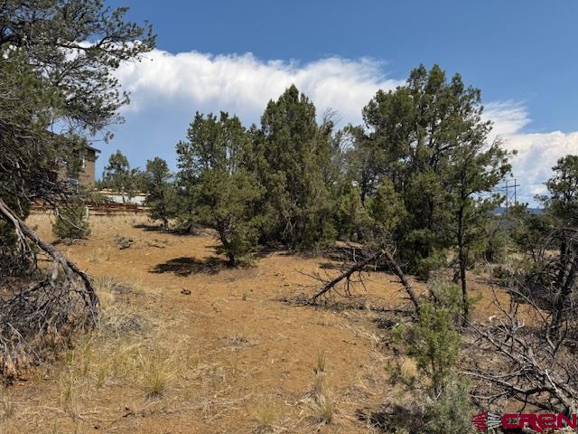 39 Salt Brush Street