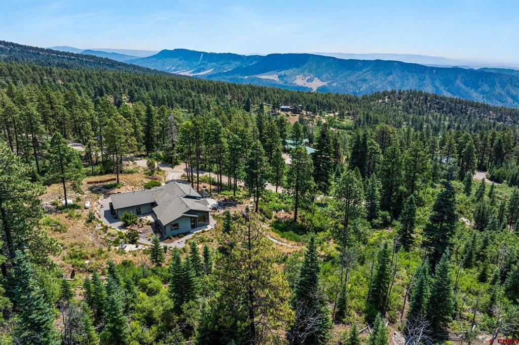 1523 Silver Mesa Driveway