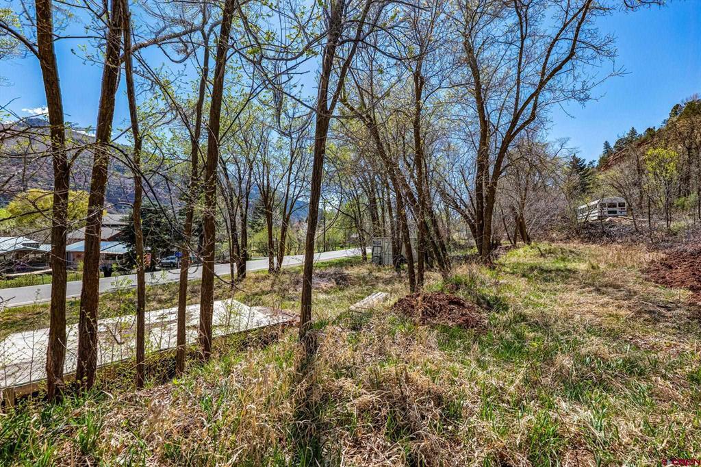 4343 County Road 203