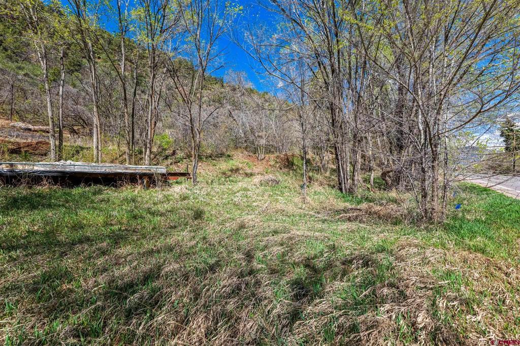 4343 County Road 203