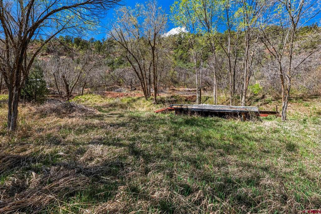 4343 County Road 203