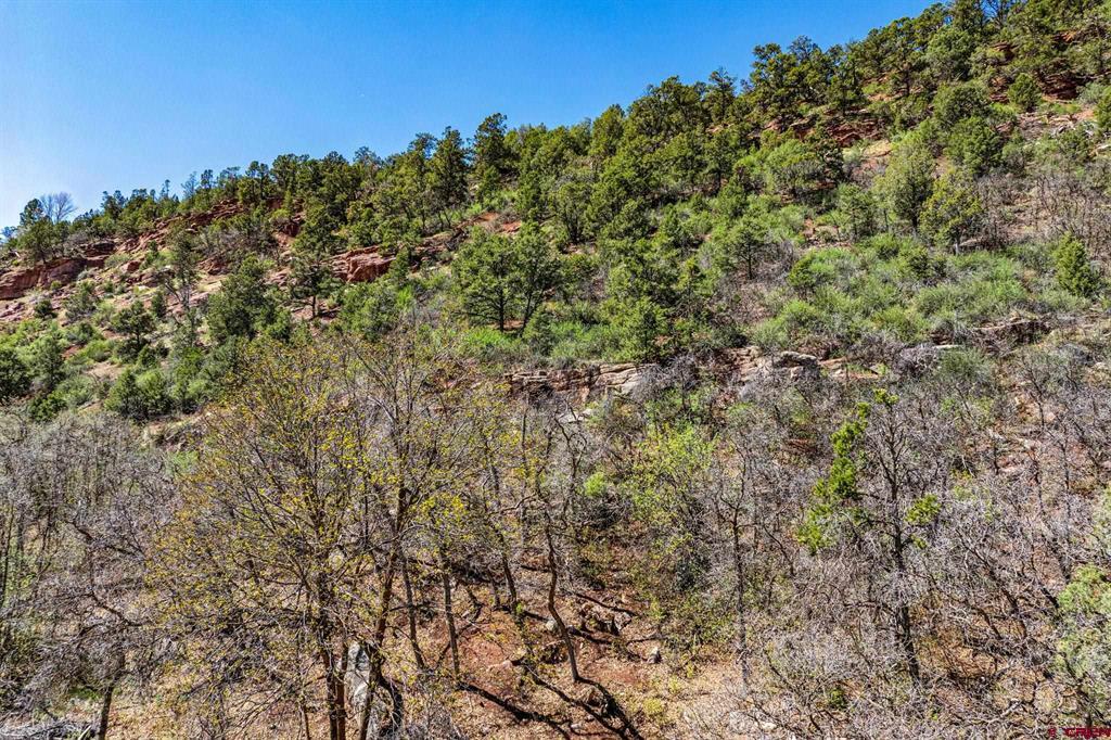 4343 County Road 203