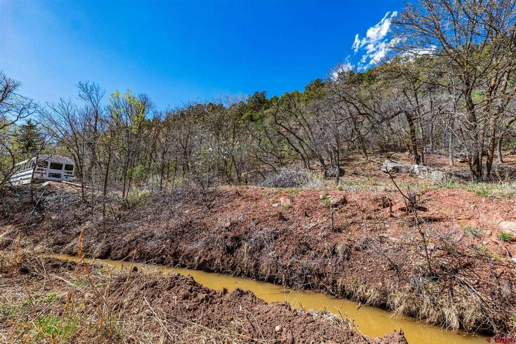 4343 County Road 203