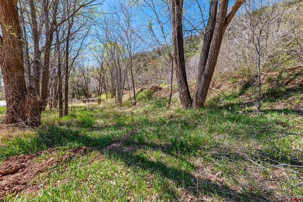 4343 County Road 203