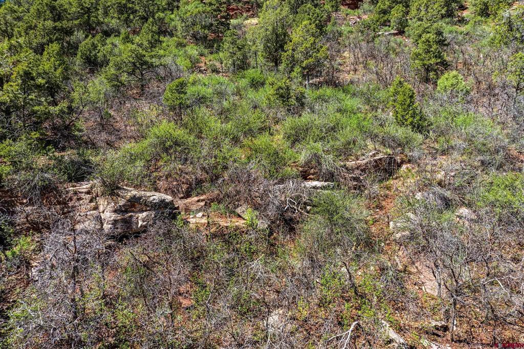 4343 County Road 203