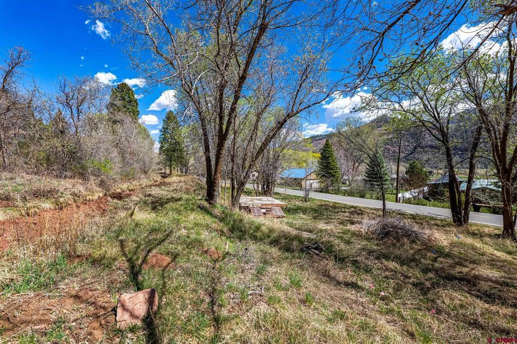 4343 County Road 203