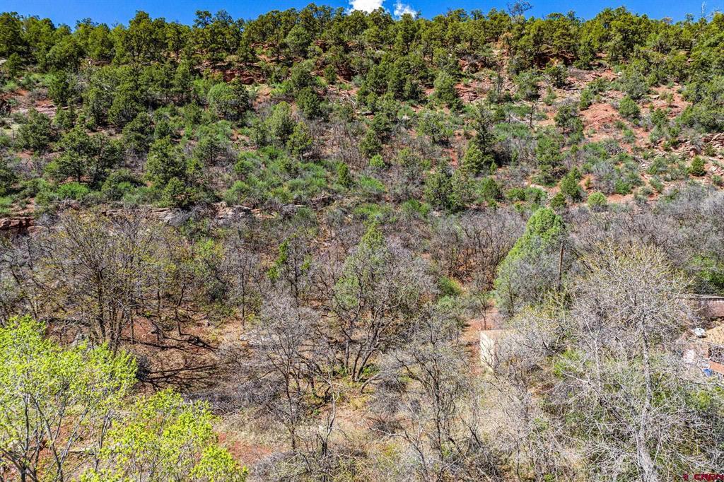 4343 County Road 203