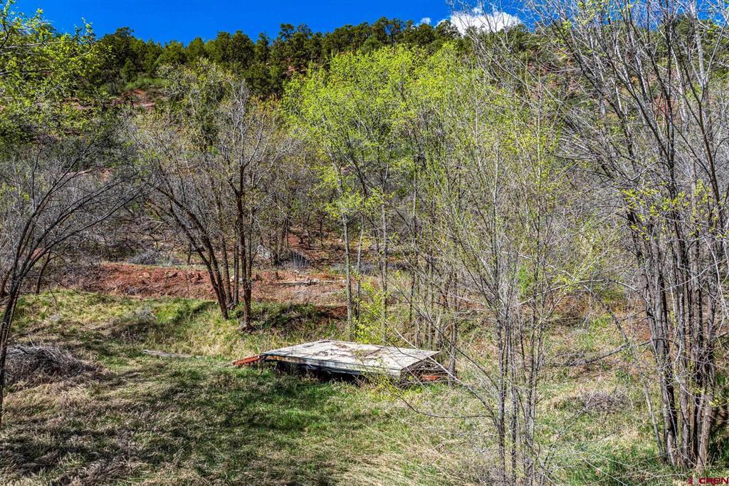 4343 County Road 203