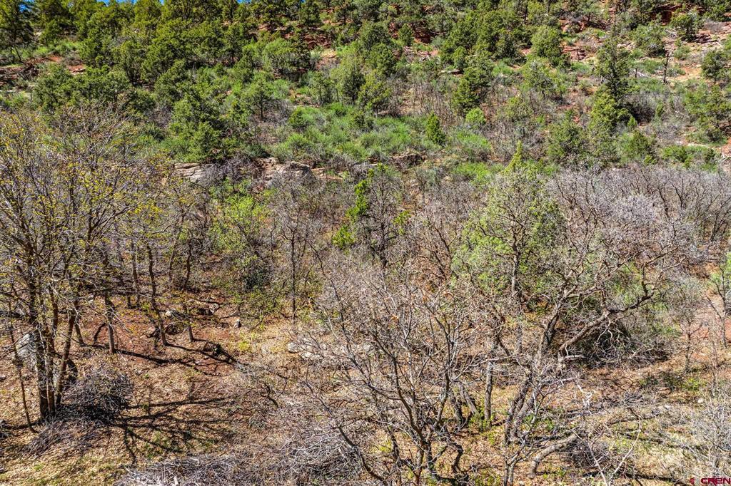 4343 County Road 203