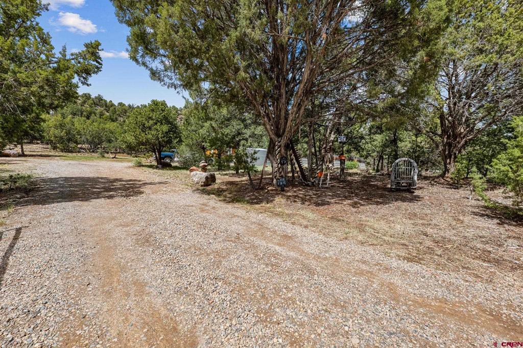 11239 County Road 213