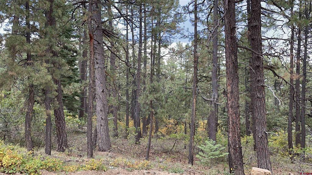 366 394 Pine Ridge Drive Bayfield CO