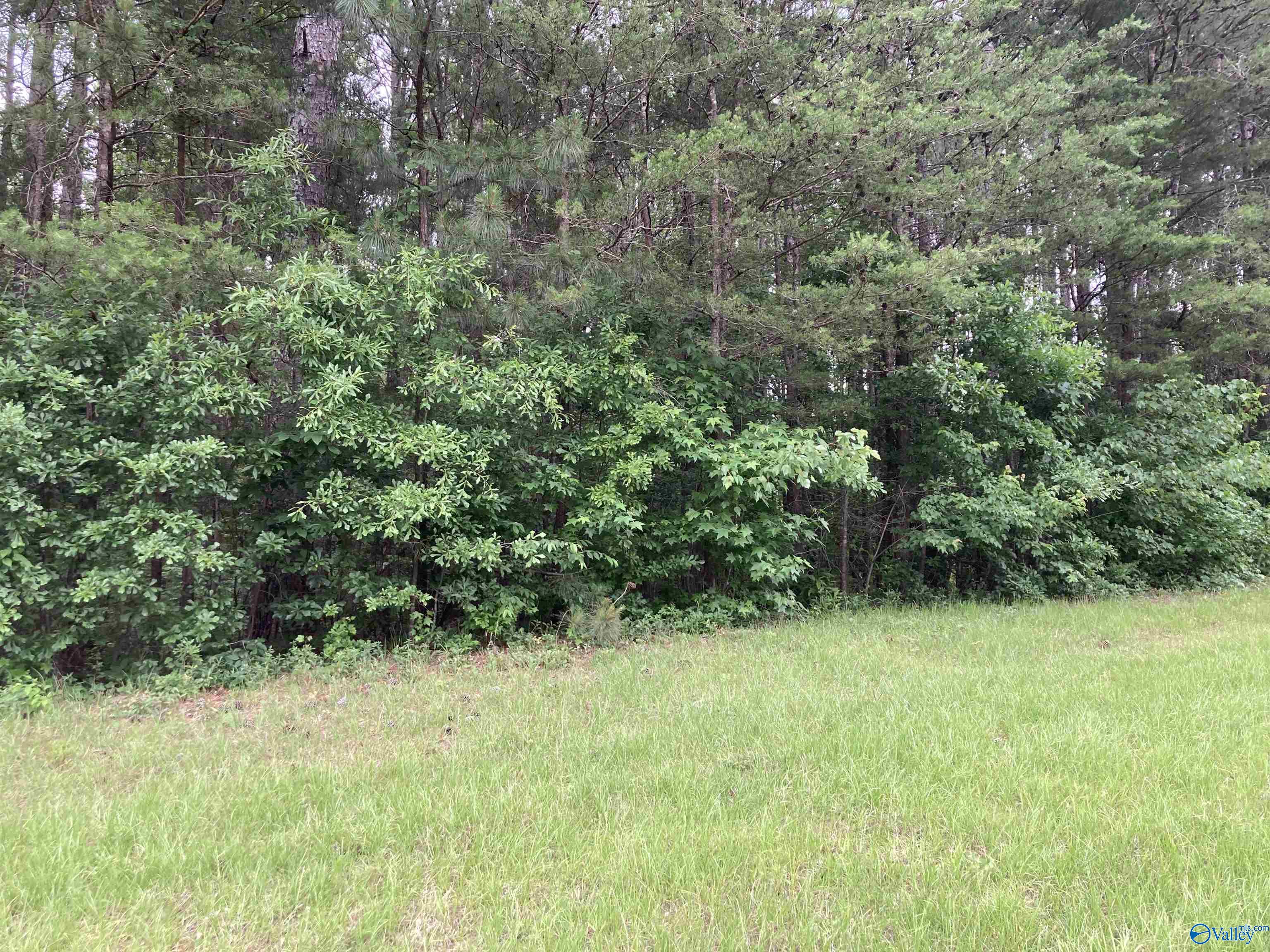 1 George Wallace Drive