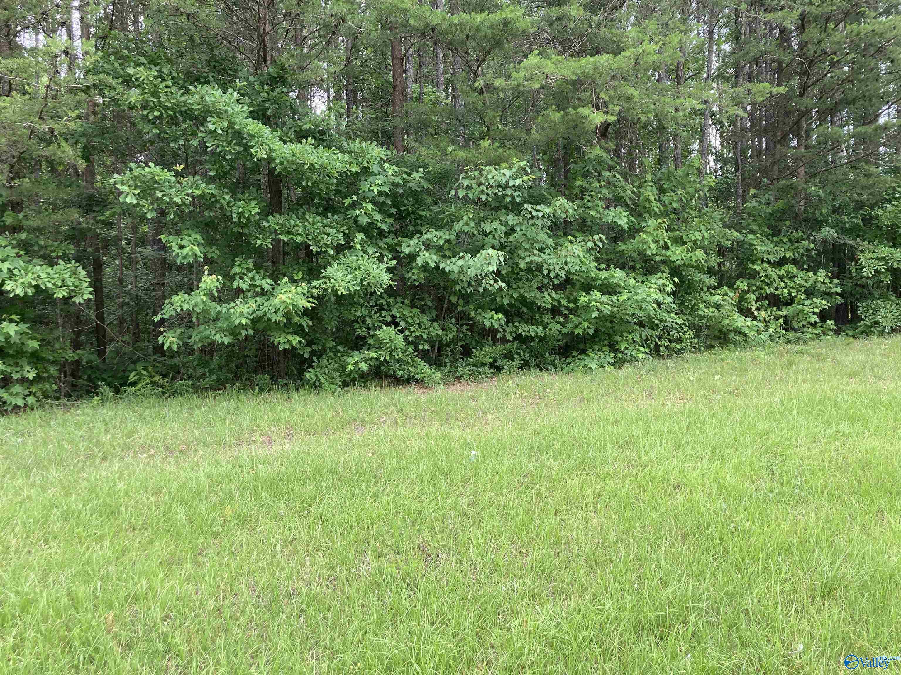 1 George Wallace Drive