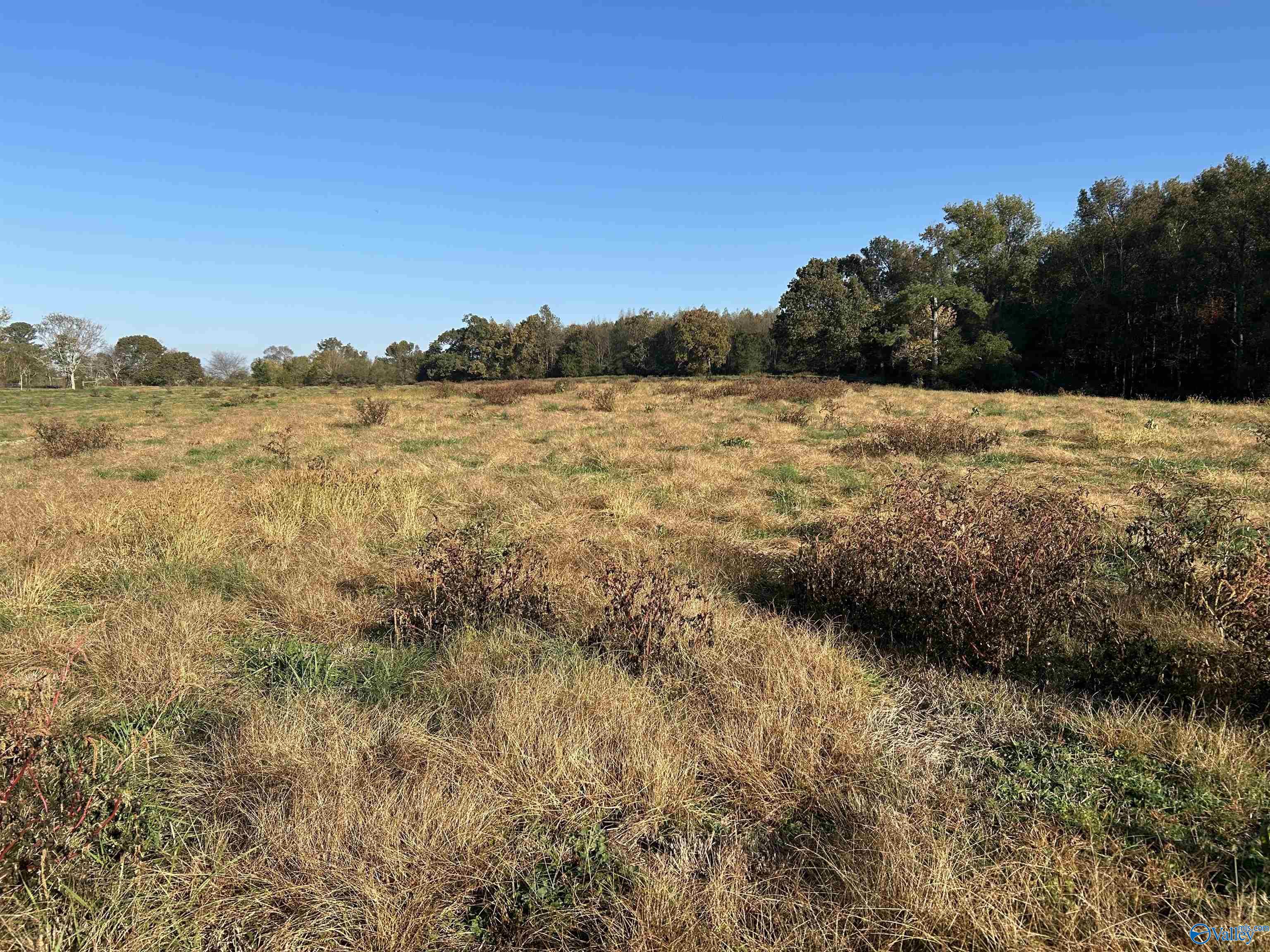 80.11ac County Road 367
