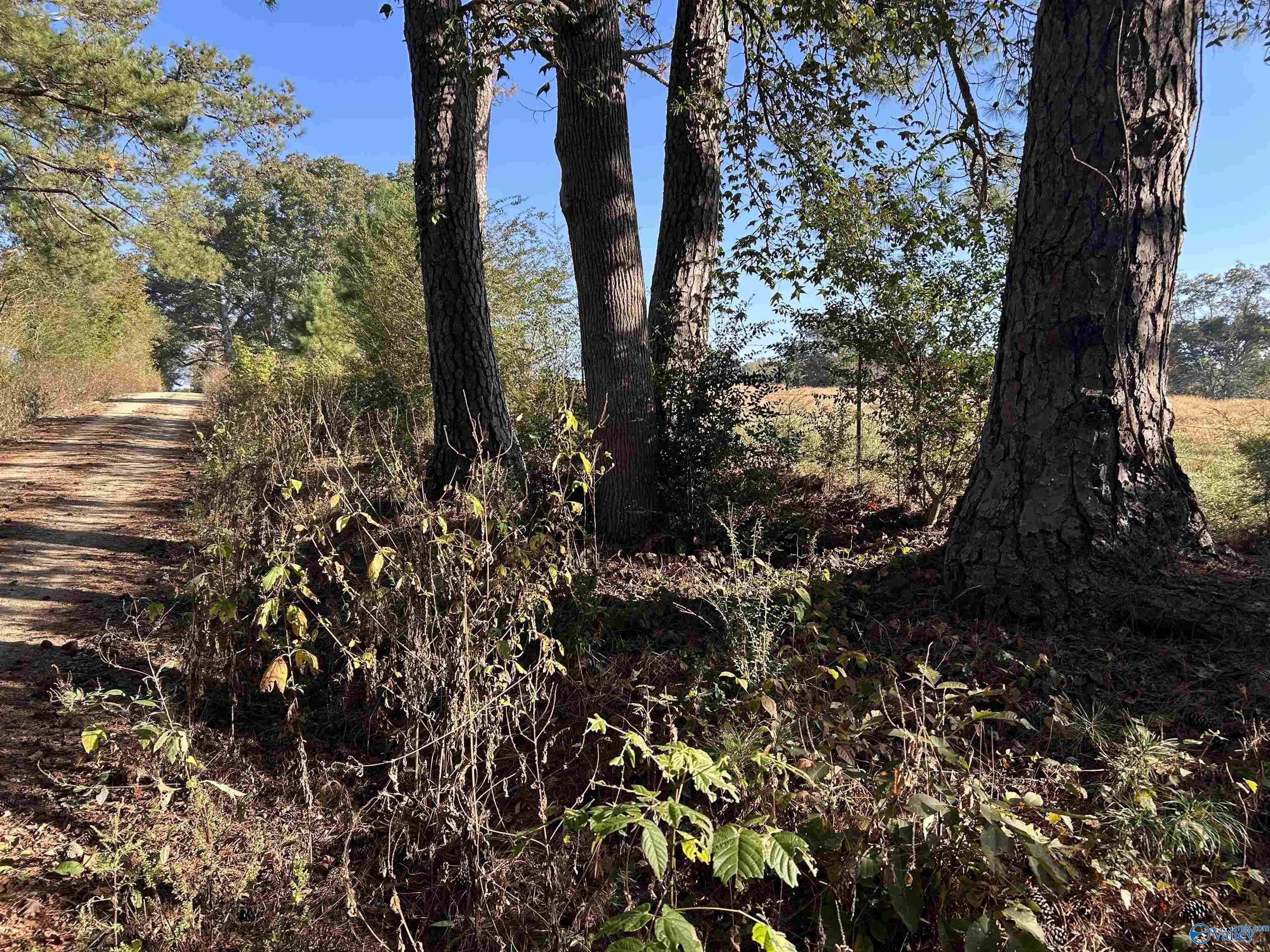 80.11ac County Road 367