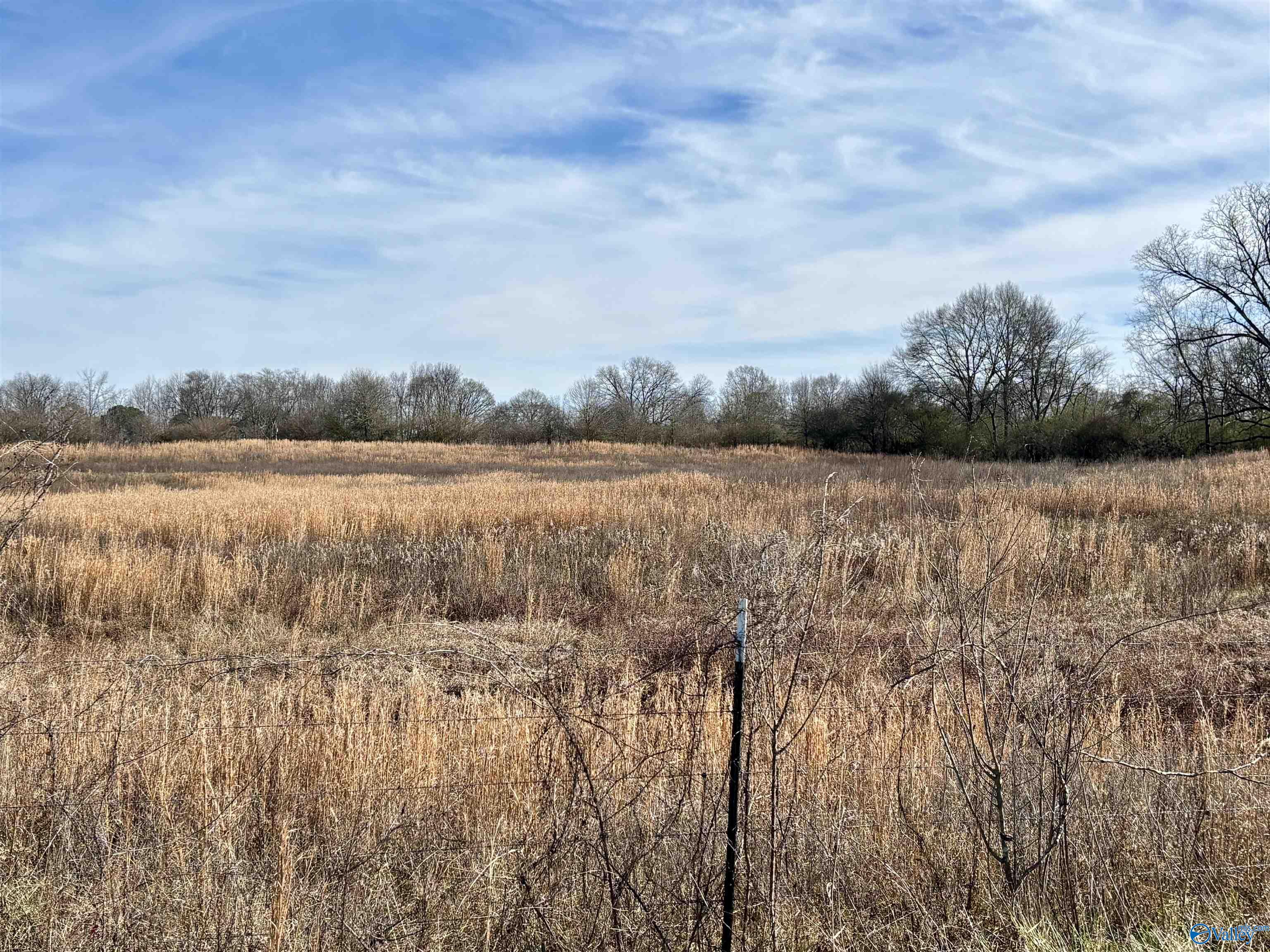 1.5 ac Lot 2 Strange Road # 2