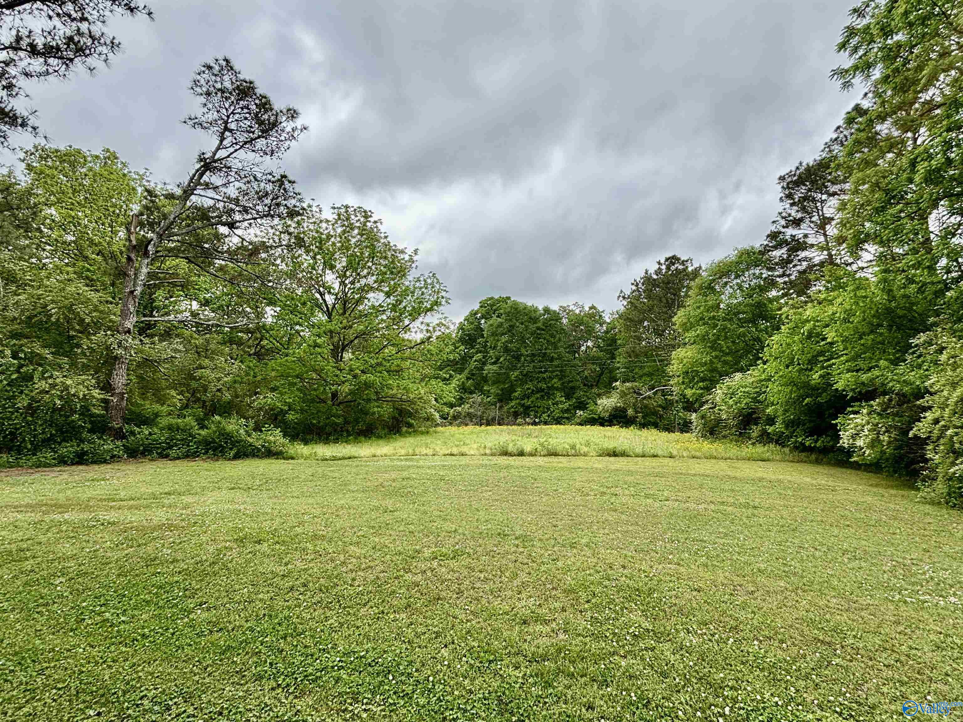 45944 Alabama Highway 75 N