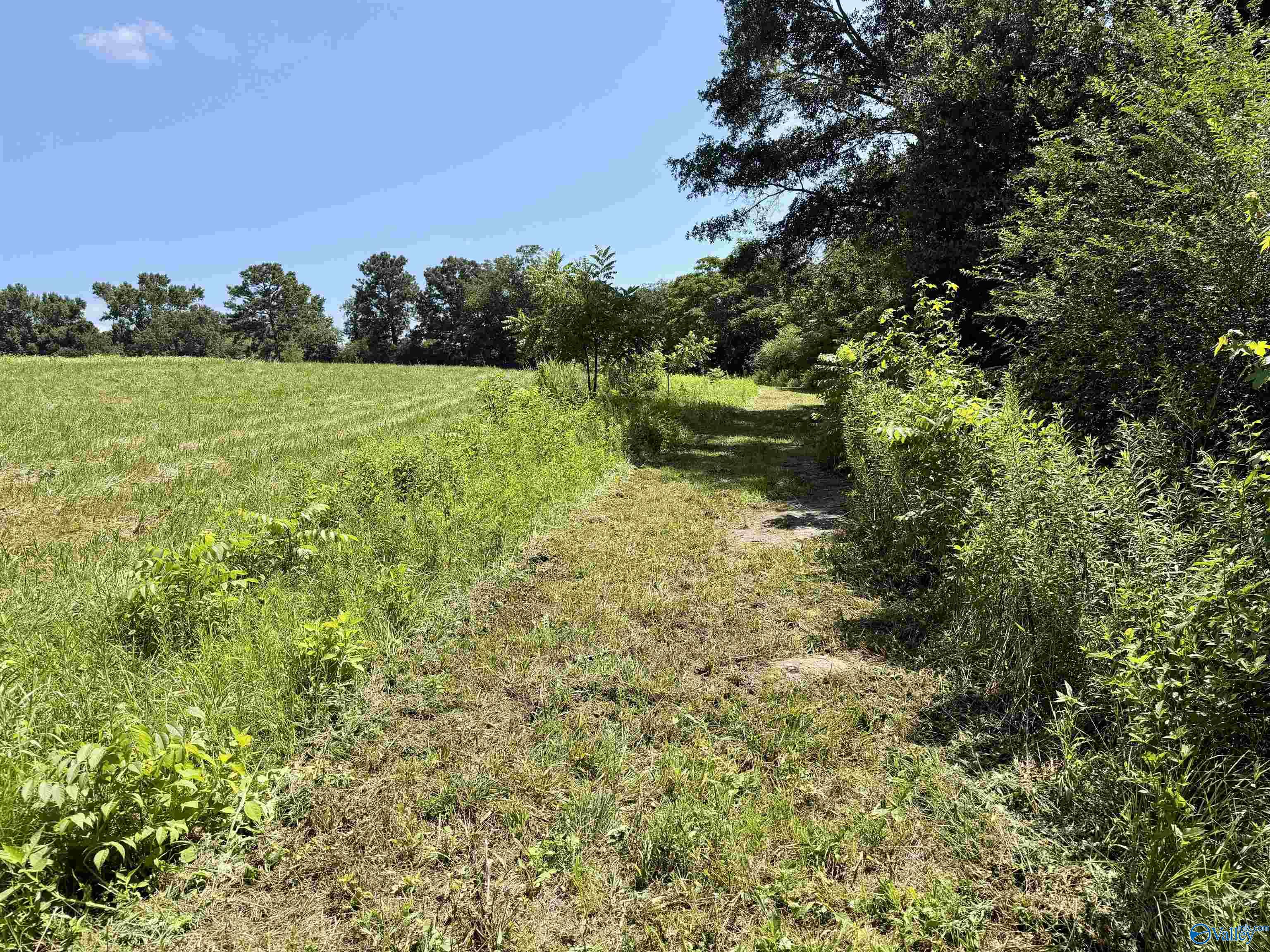 22 +/- ac Summerville Road