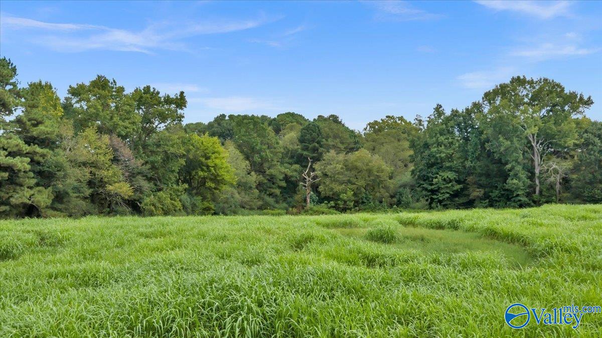 22 +/- ac Summerville Road
