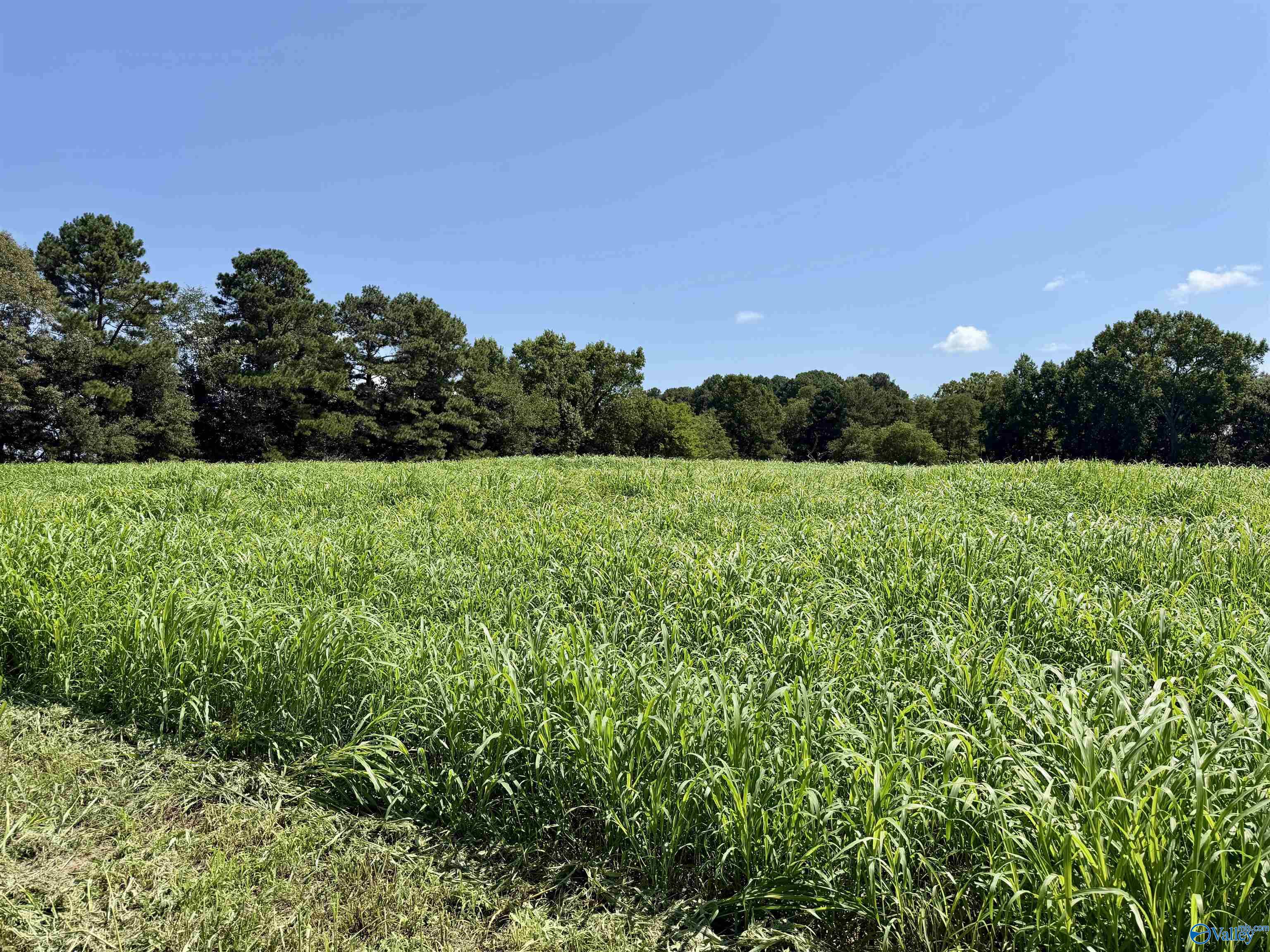 22 +/- ac Summerville Road