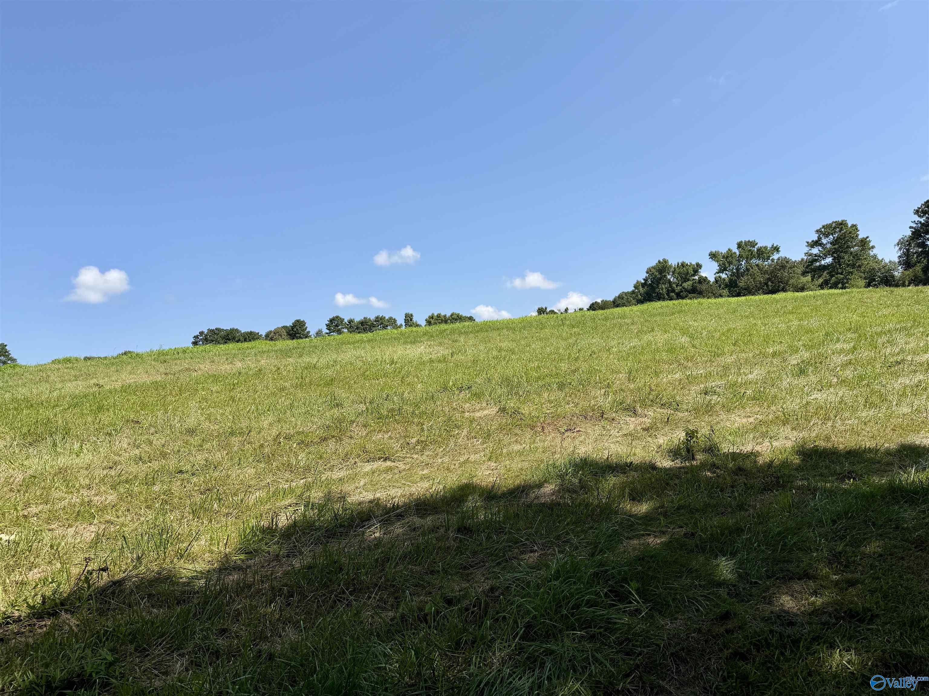 22 +/- ac Summerville Road
