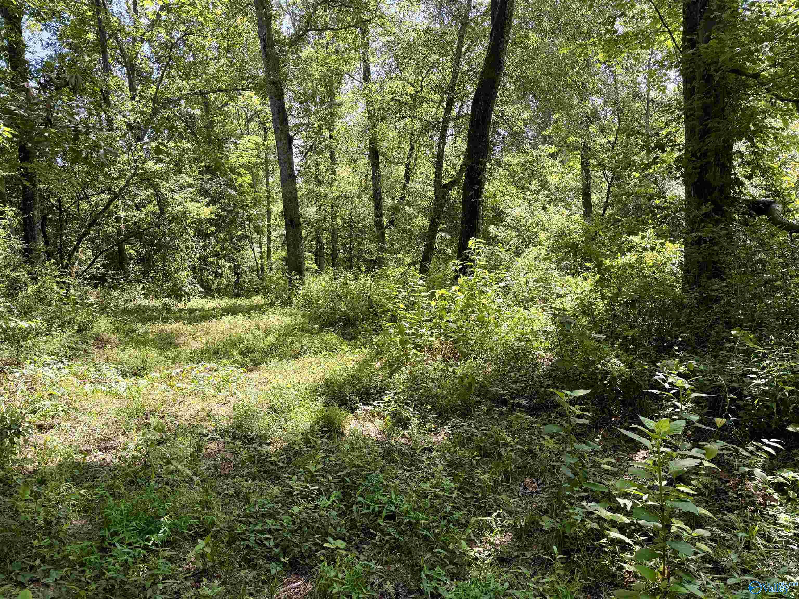 22 +/- ac Summerville Road