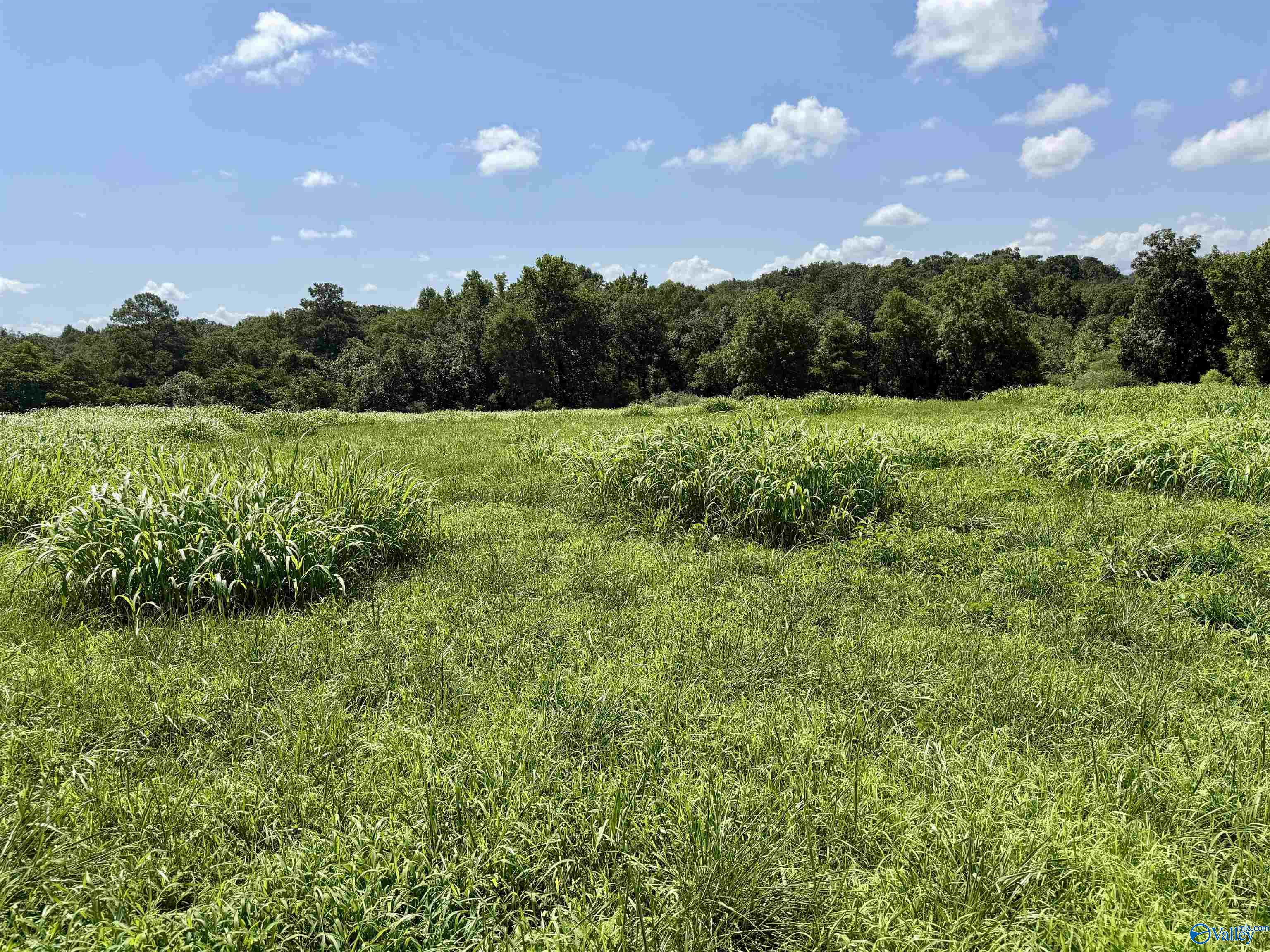22 +/- ac Summerville Road