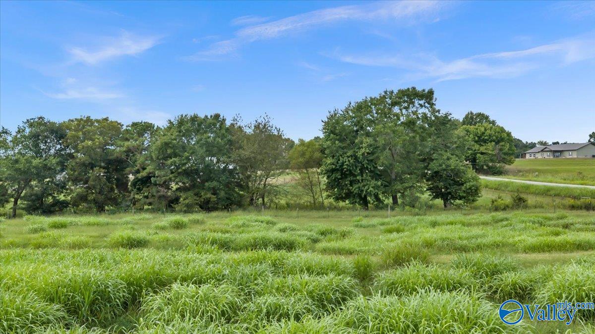 22 +/- ac Summerville Road