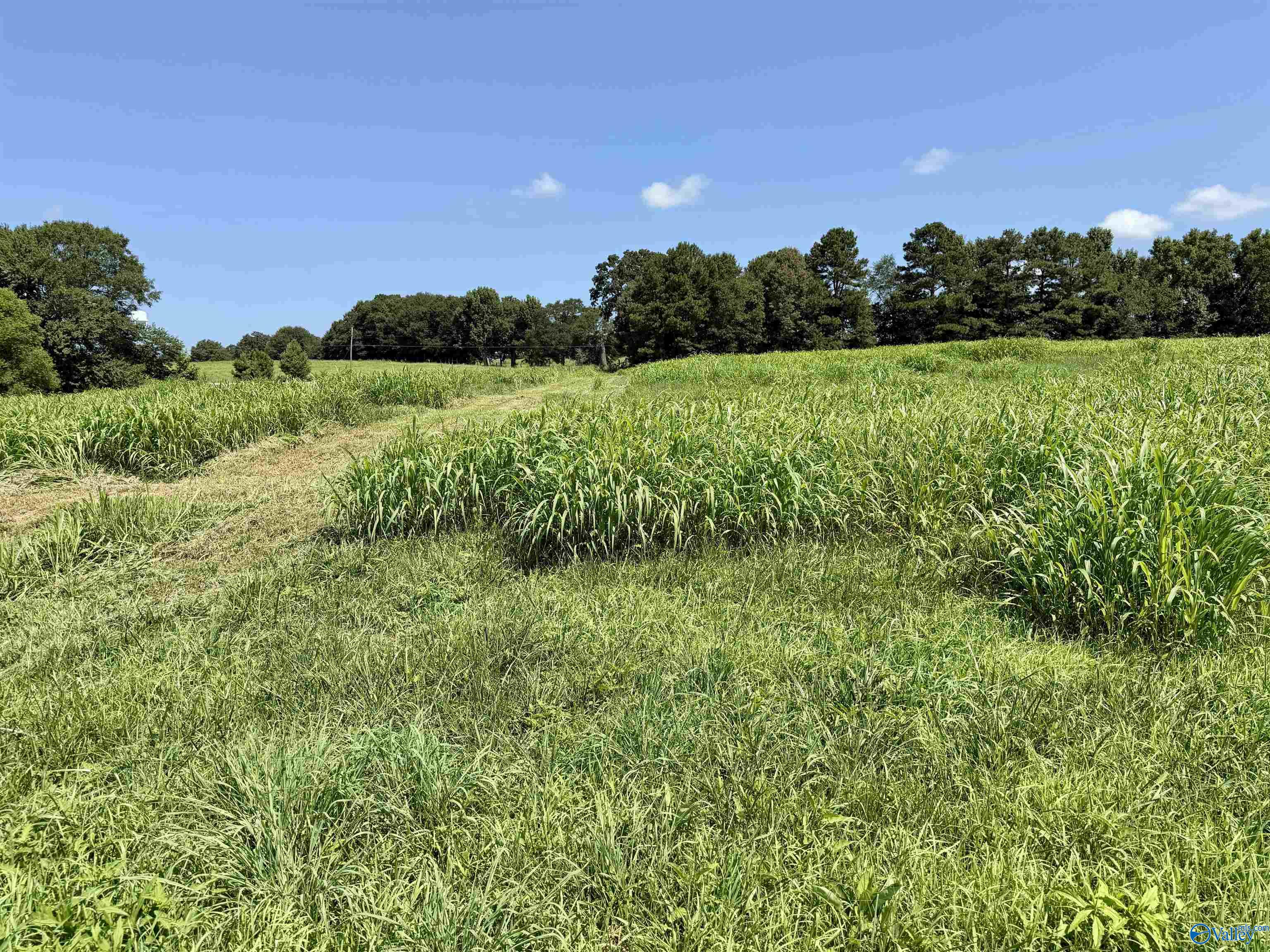 22 +/- ac Summerville Road