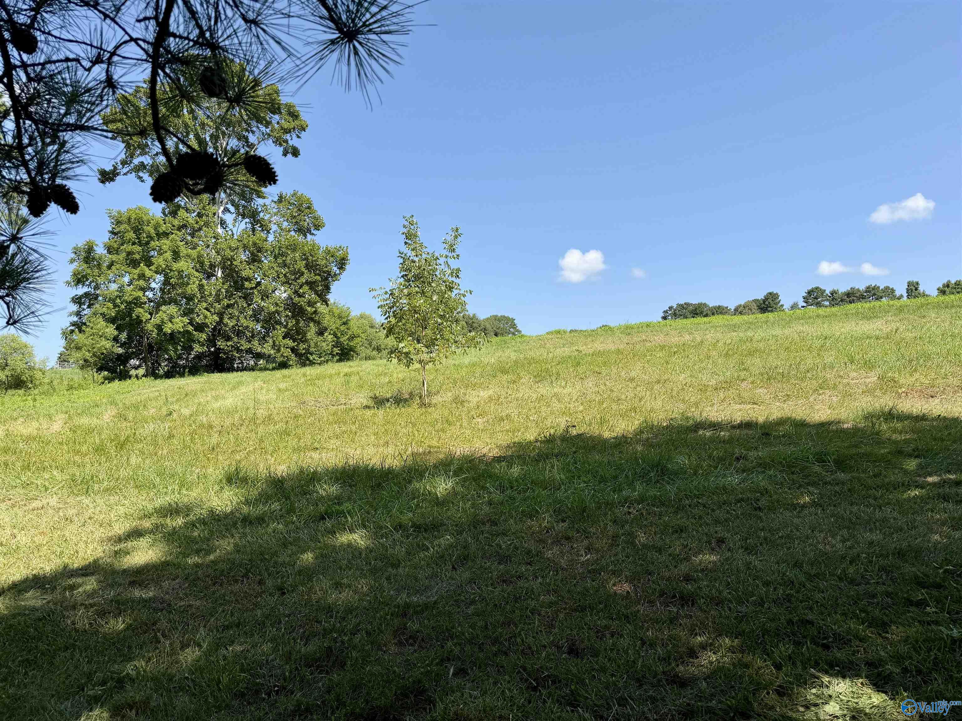 22 +/- ac Summerville Road