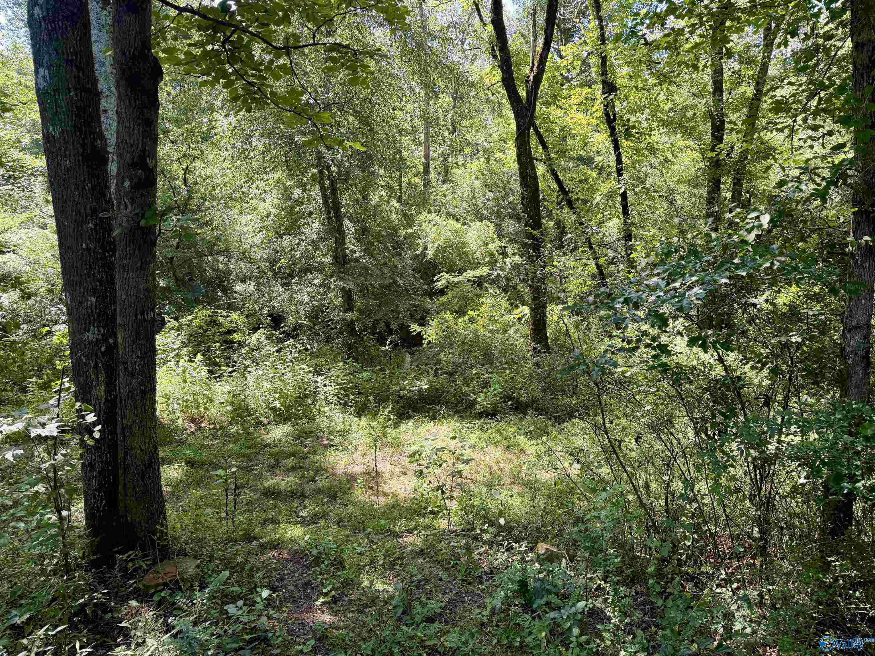 22 +/- ac Summerville Road