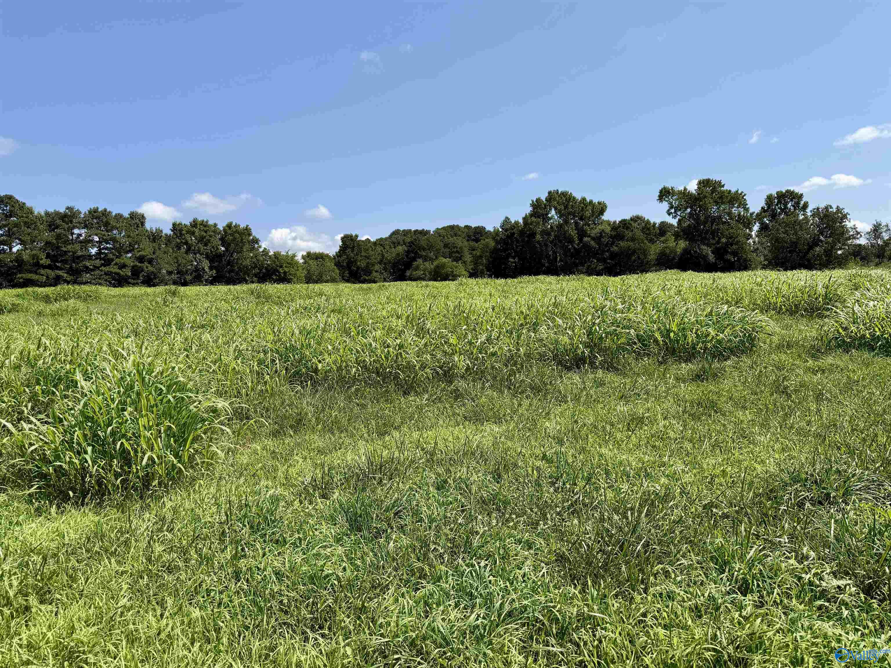22 +/- ac Summerville Road