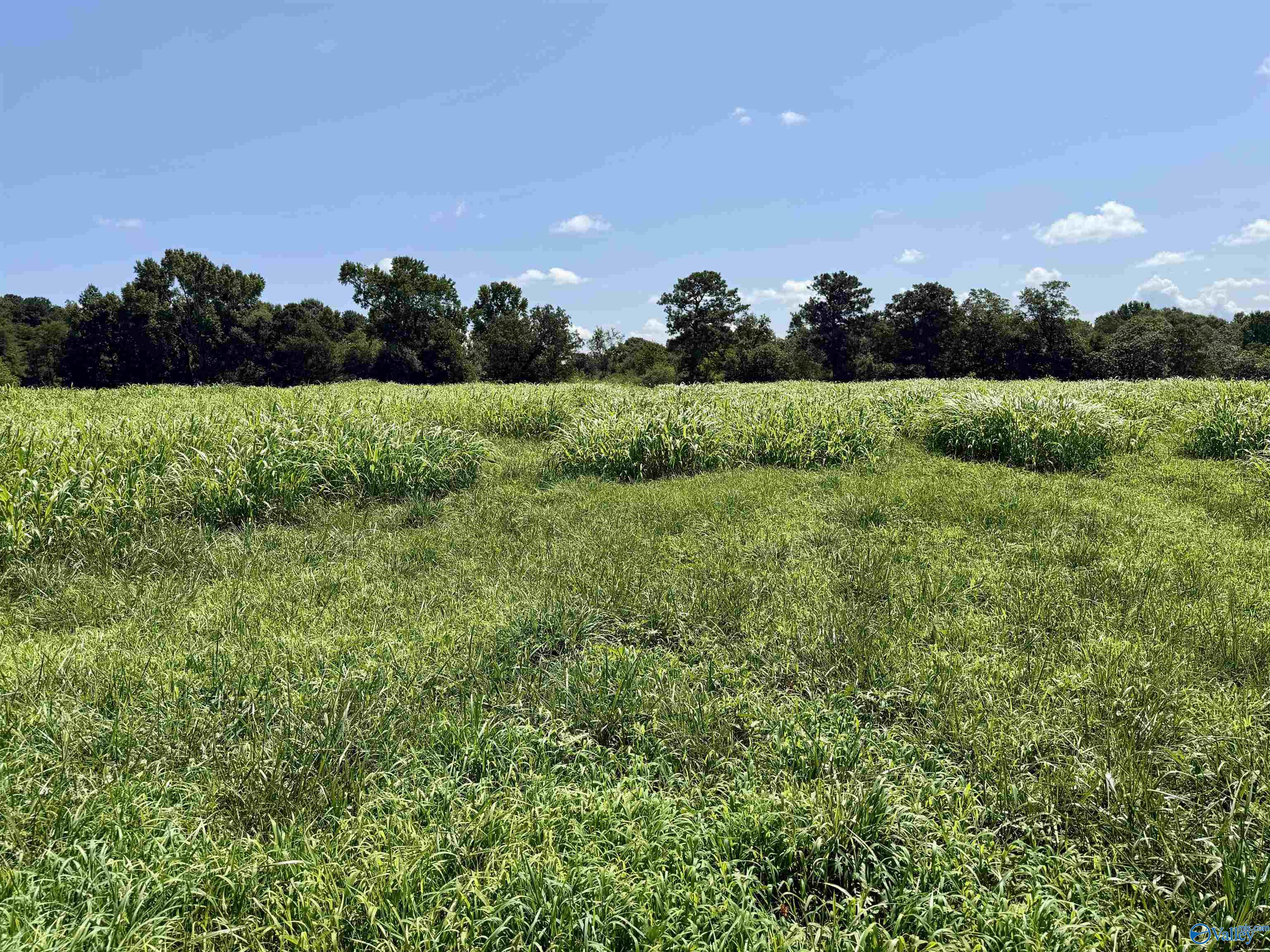 22 +/- ac Summerville Road