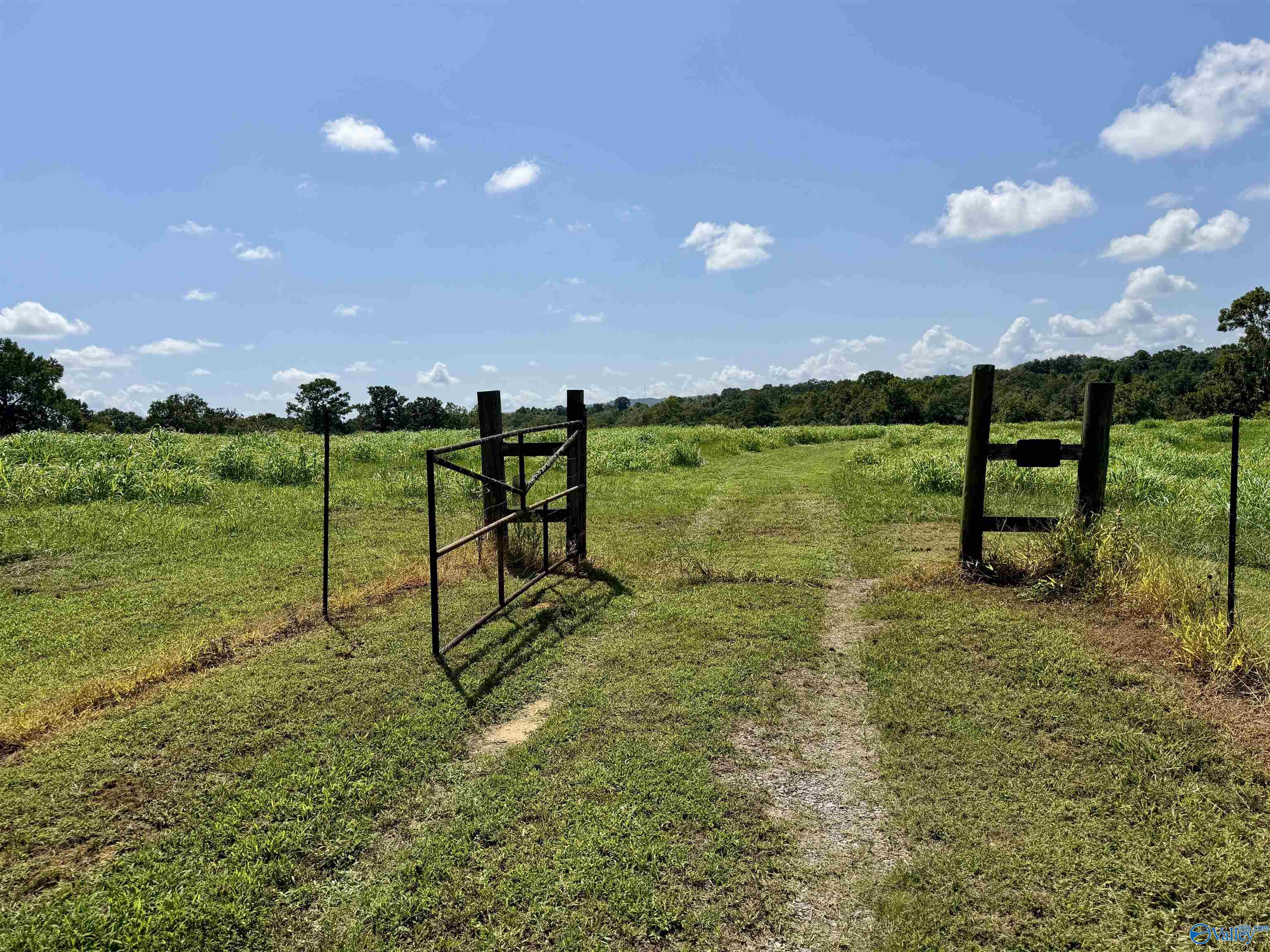 22 +/- ac Summerville Road