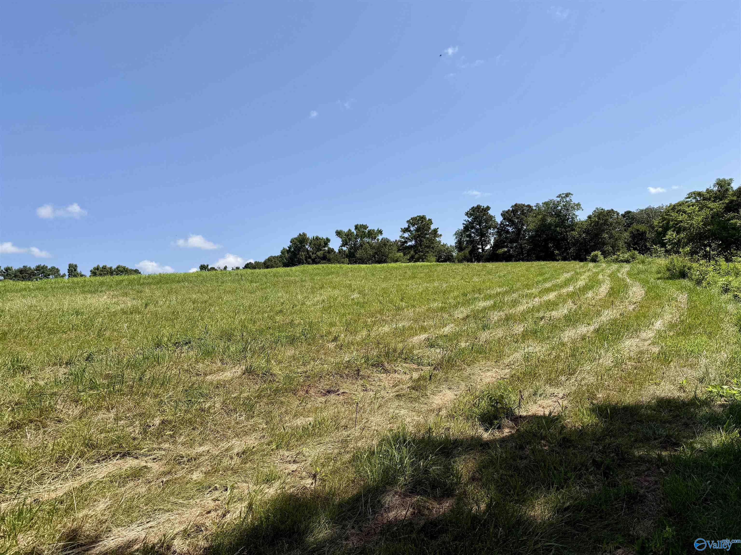 22 +/- ac Summerville Road