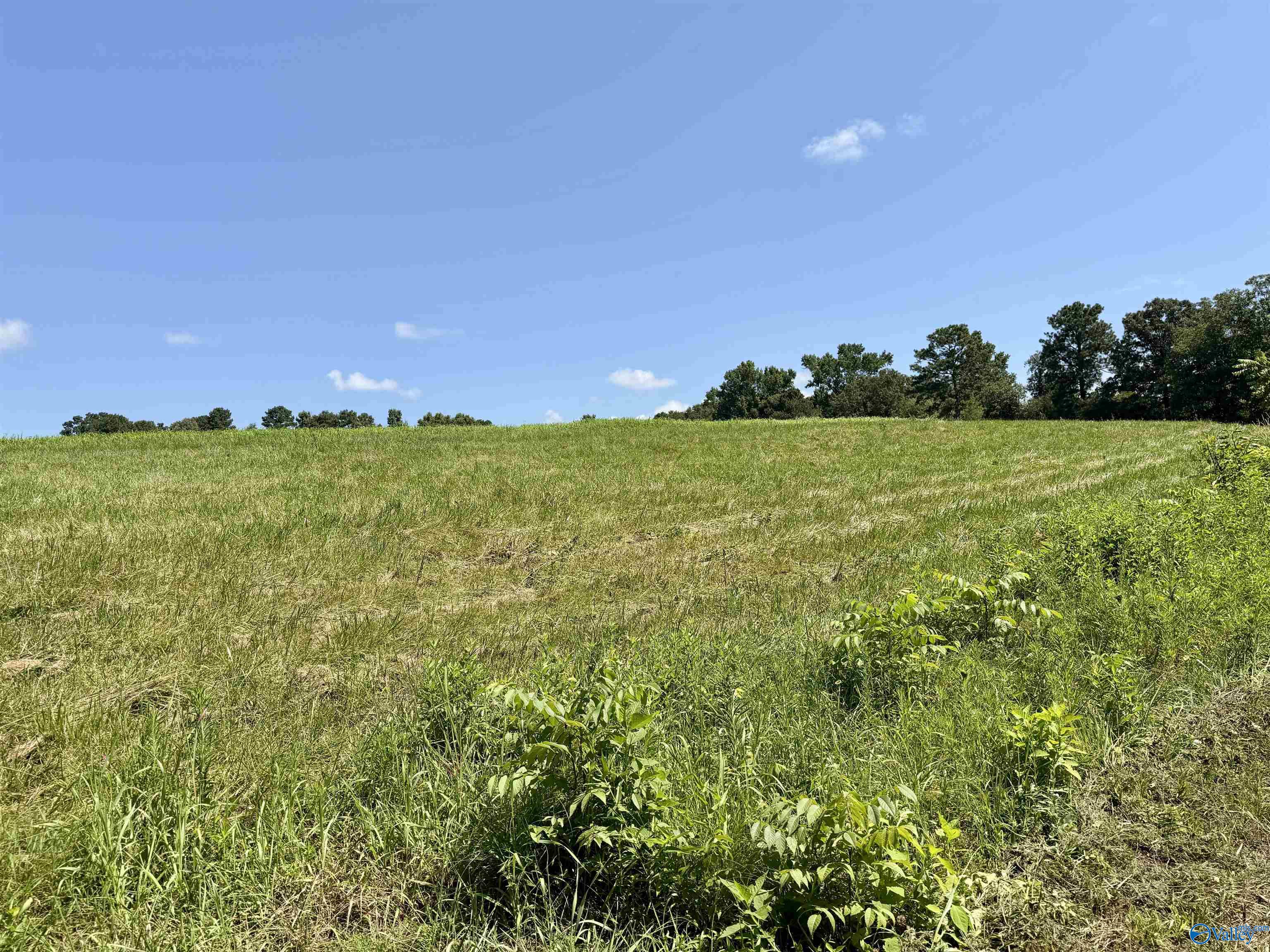 22 +/- ac Summerville Road