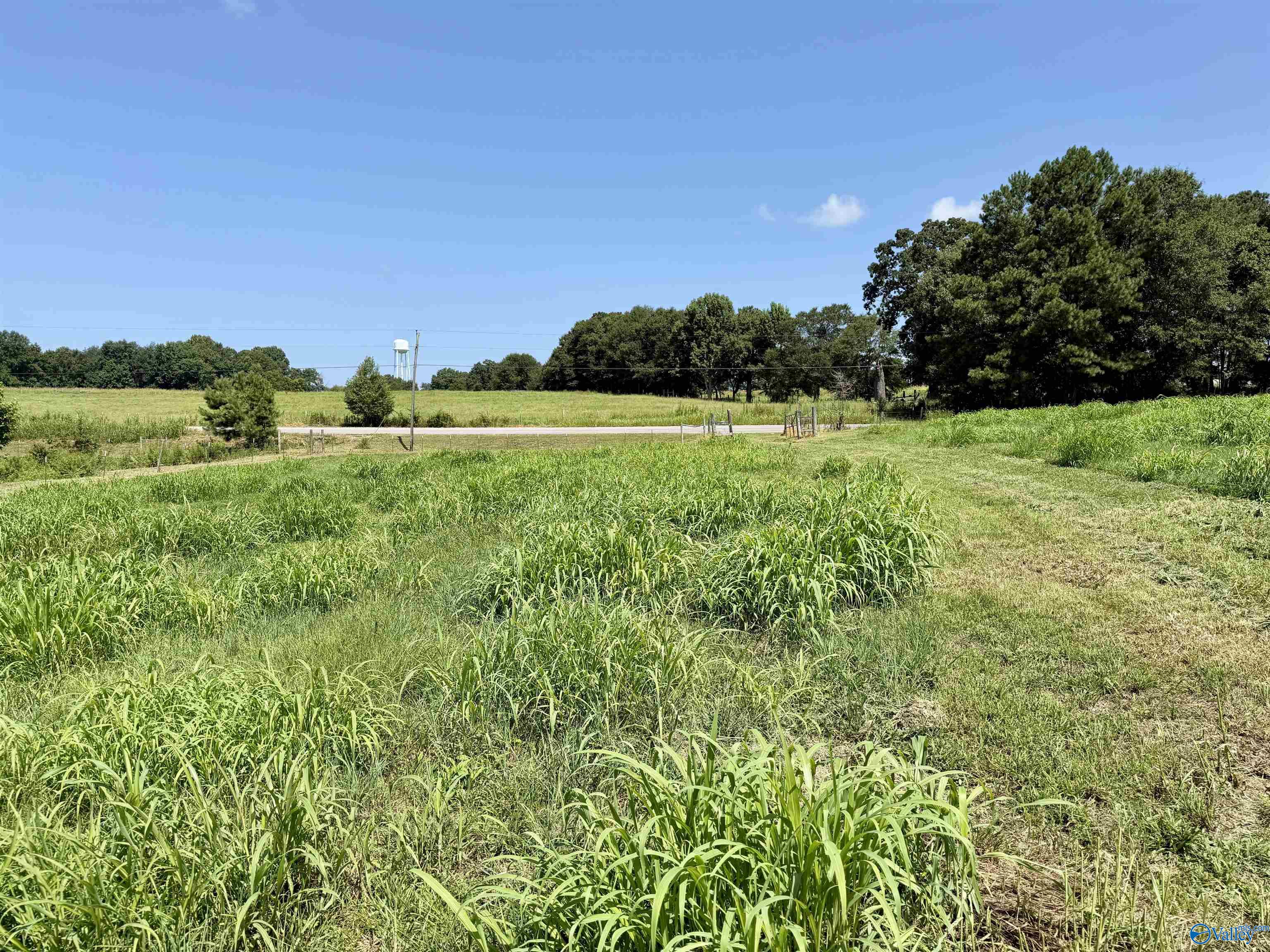 22 +/- ac Summerville Road