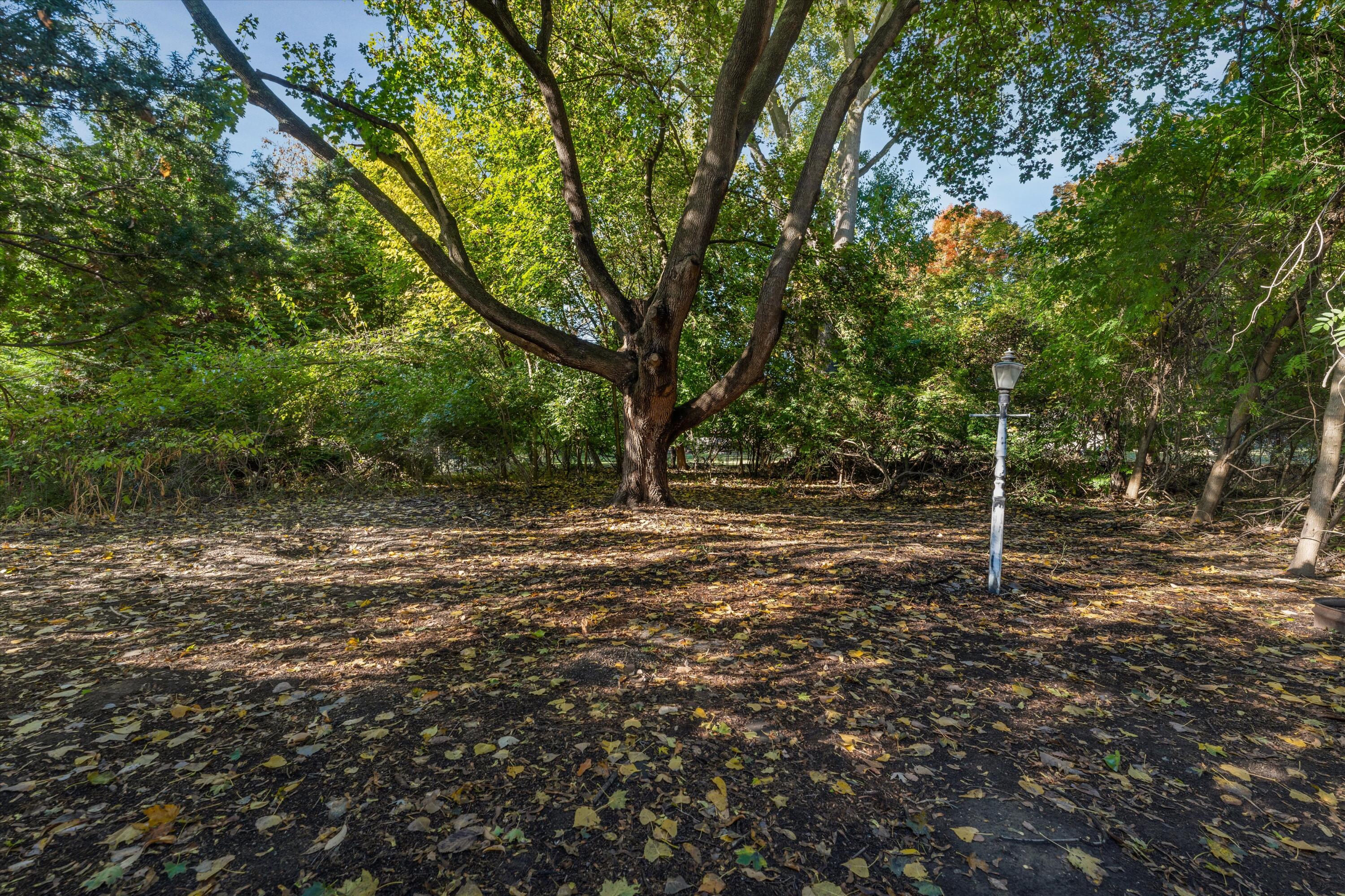 26261 La Muera Street