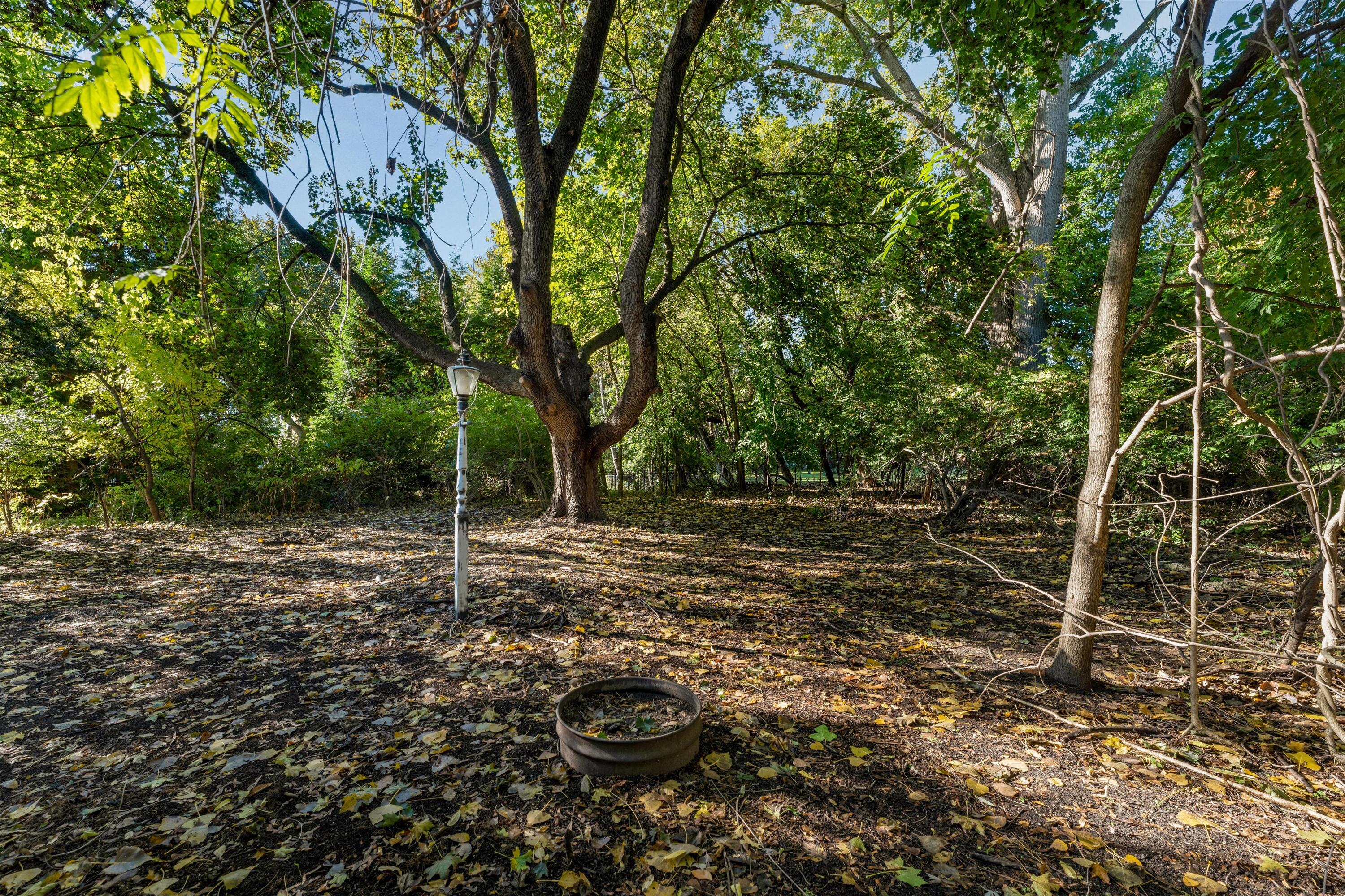 26261 La Muera Street