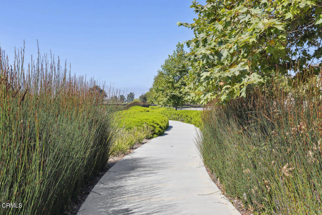 10751 Delphinium Drive