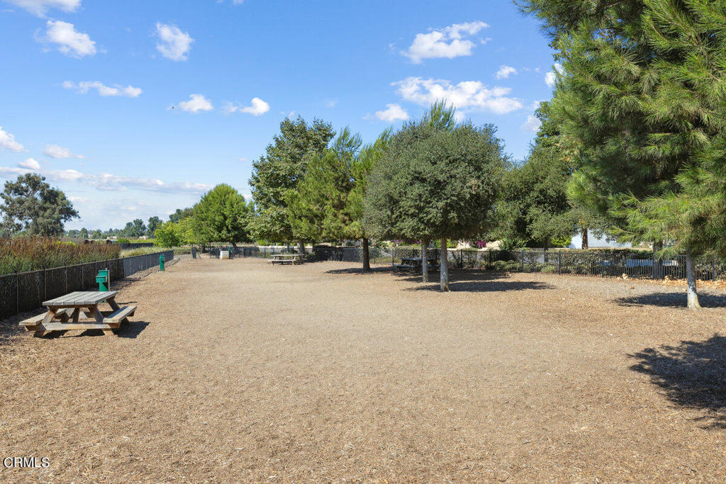 10751 Delphinium Drive