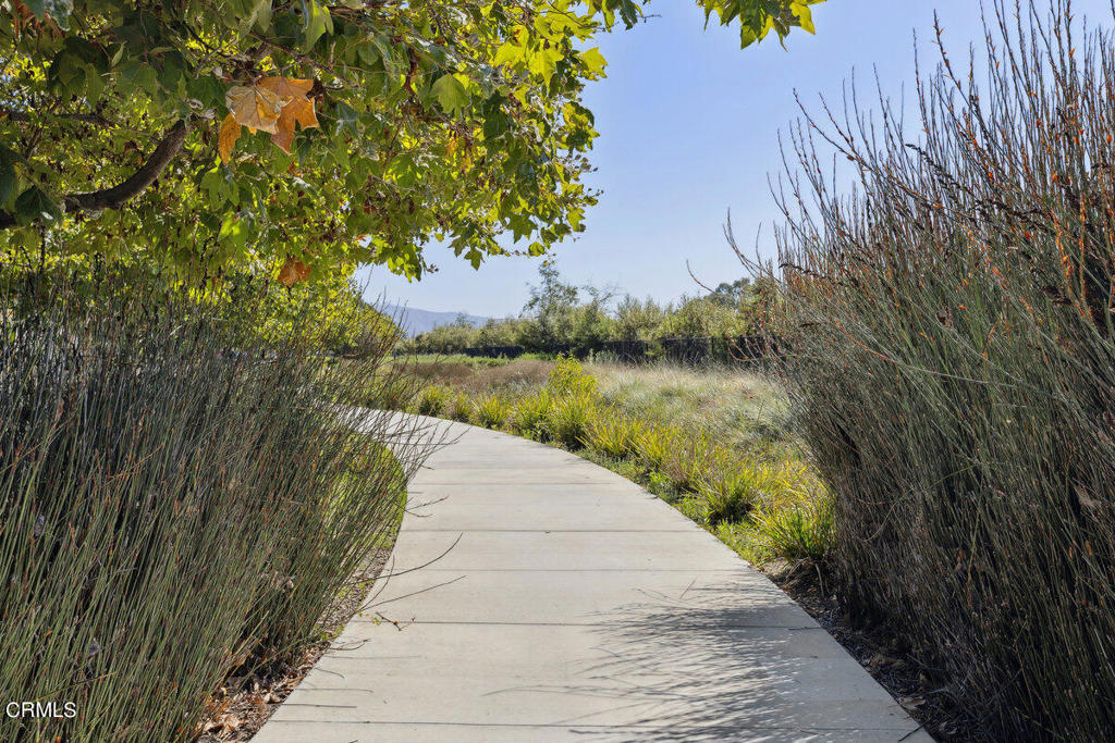 10751 Delphinium Drive