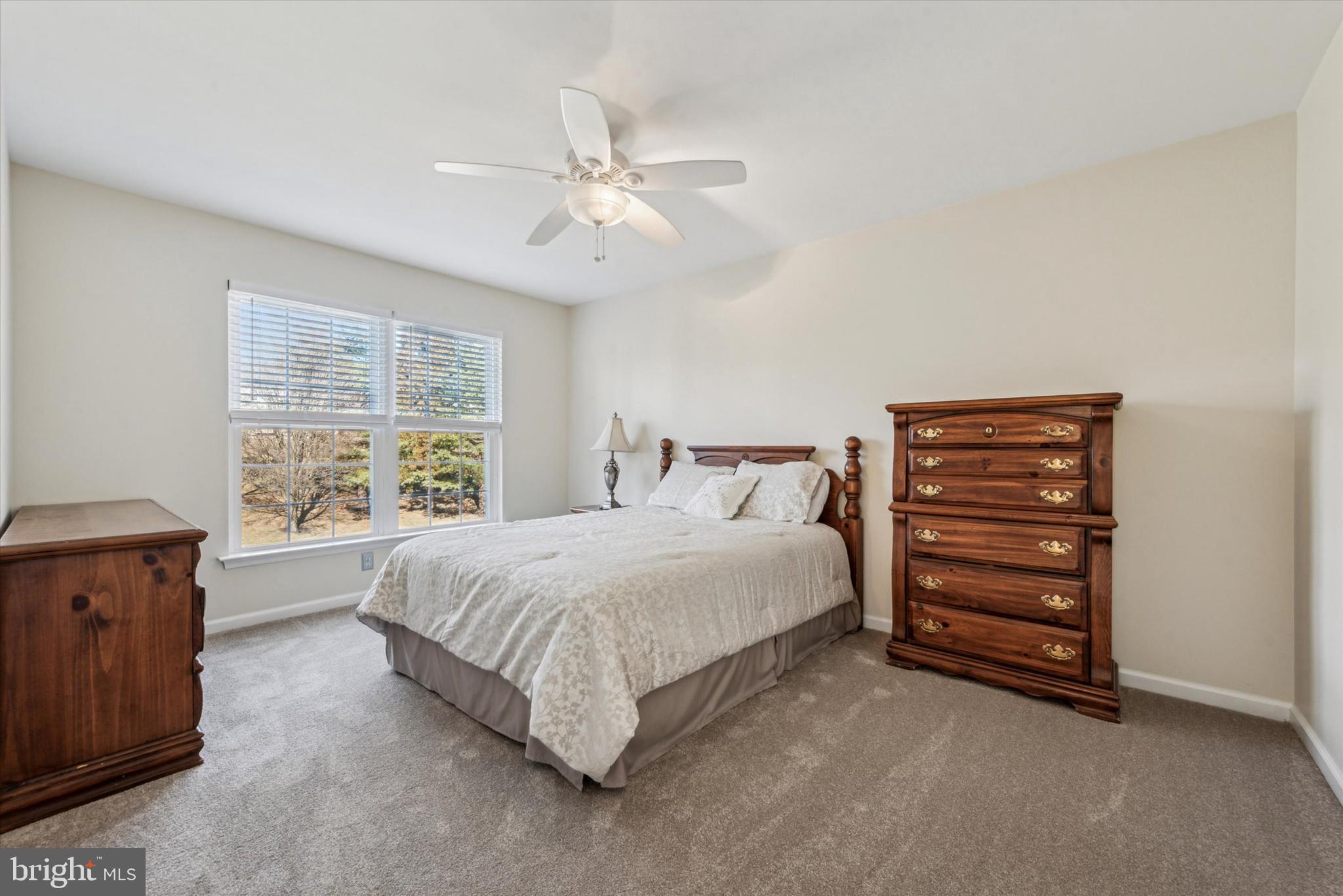 203 Montpelier Dr