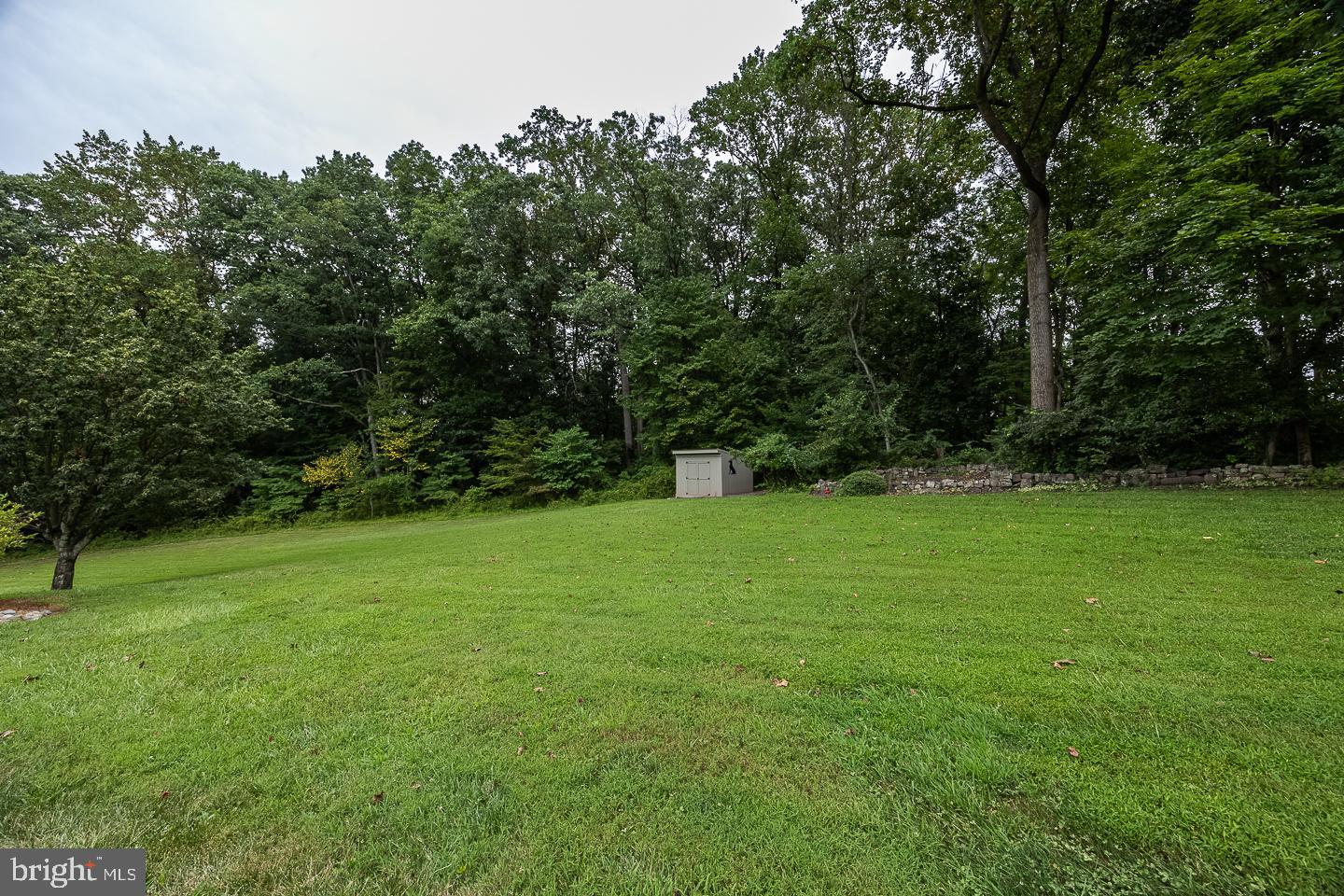 841 CADMUS ROAD