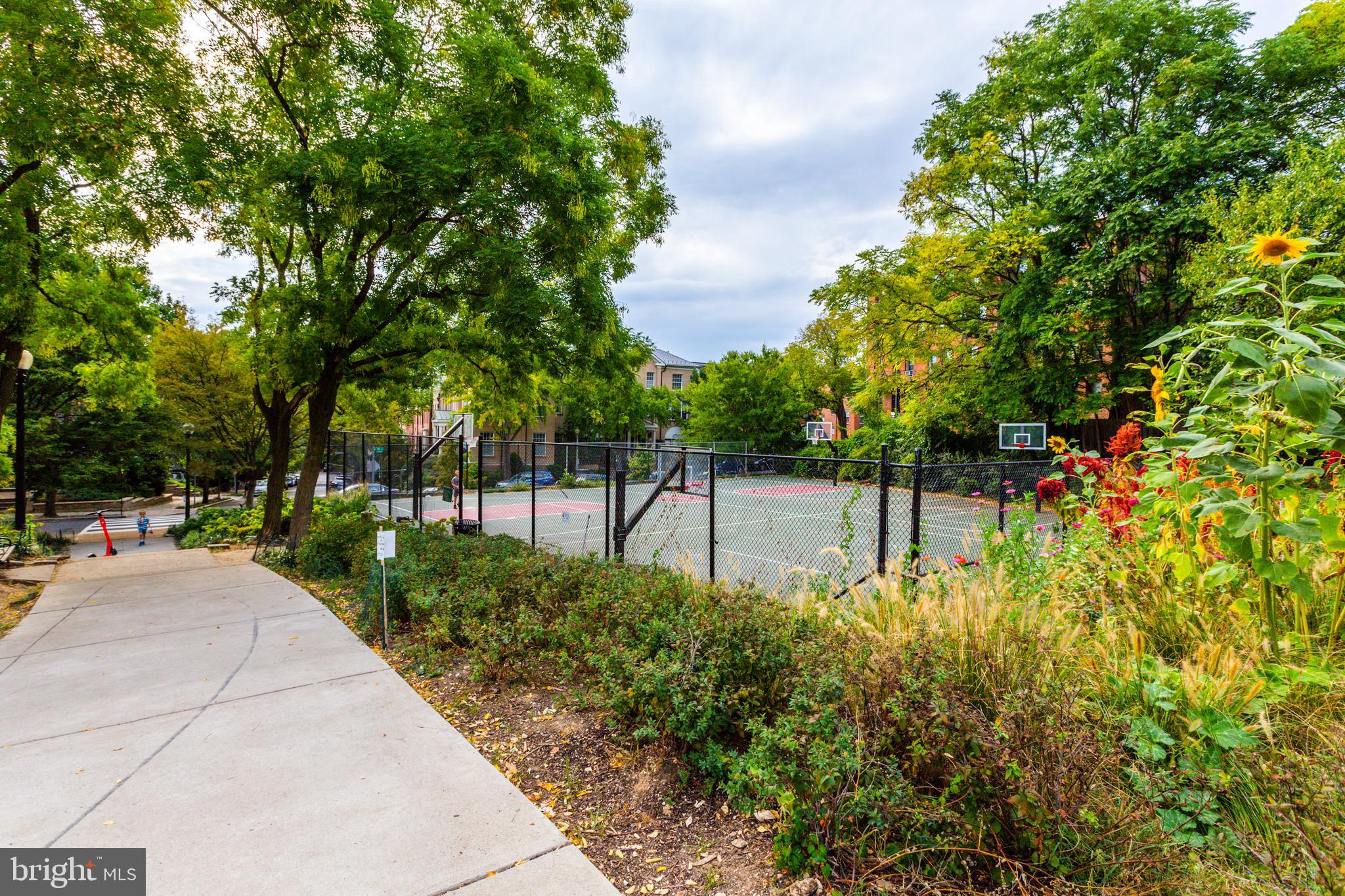 1954 Columbia ROAD NW Unit: 509