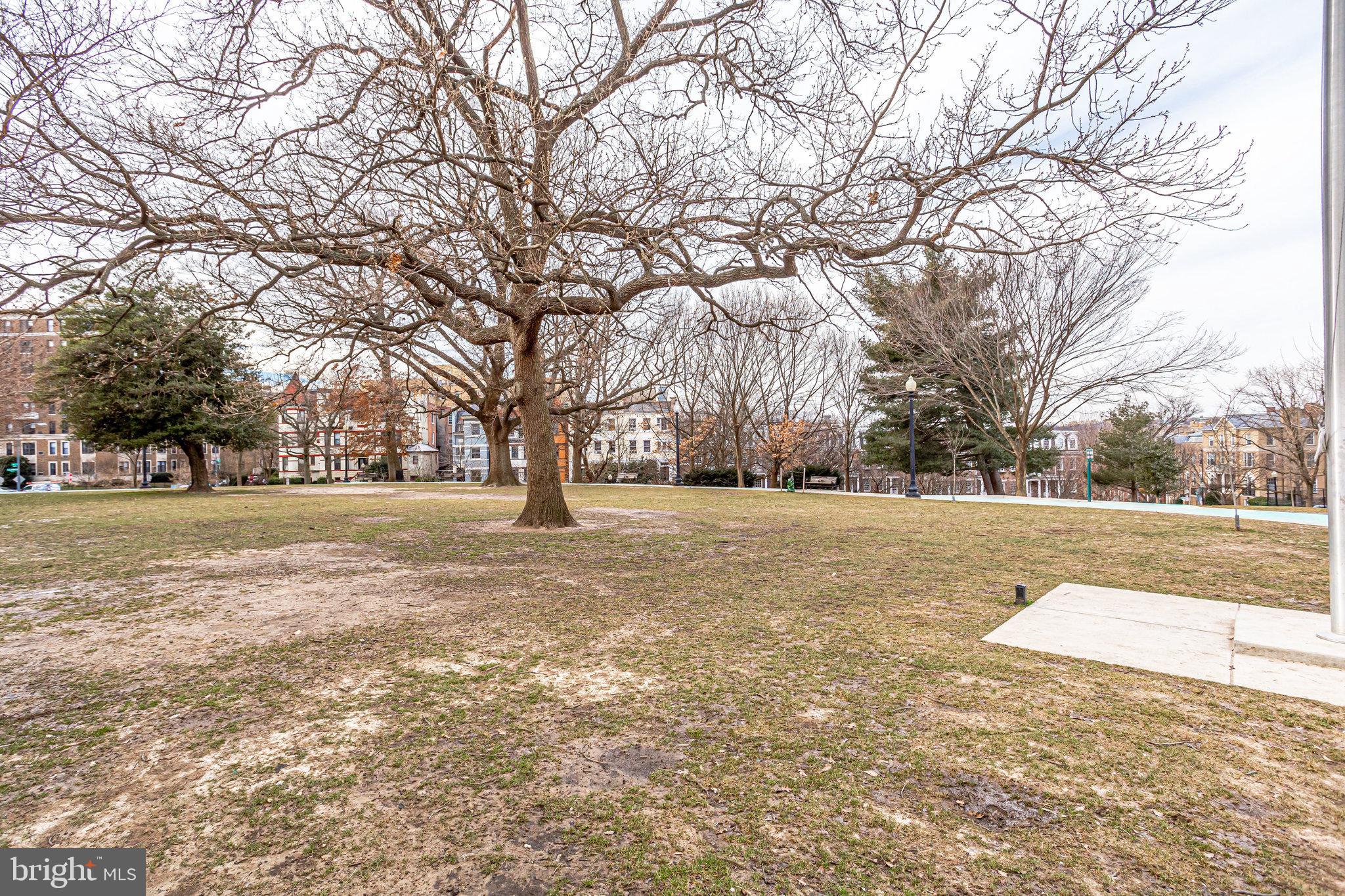 1954 Columbia ROAD NW Unit: 509