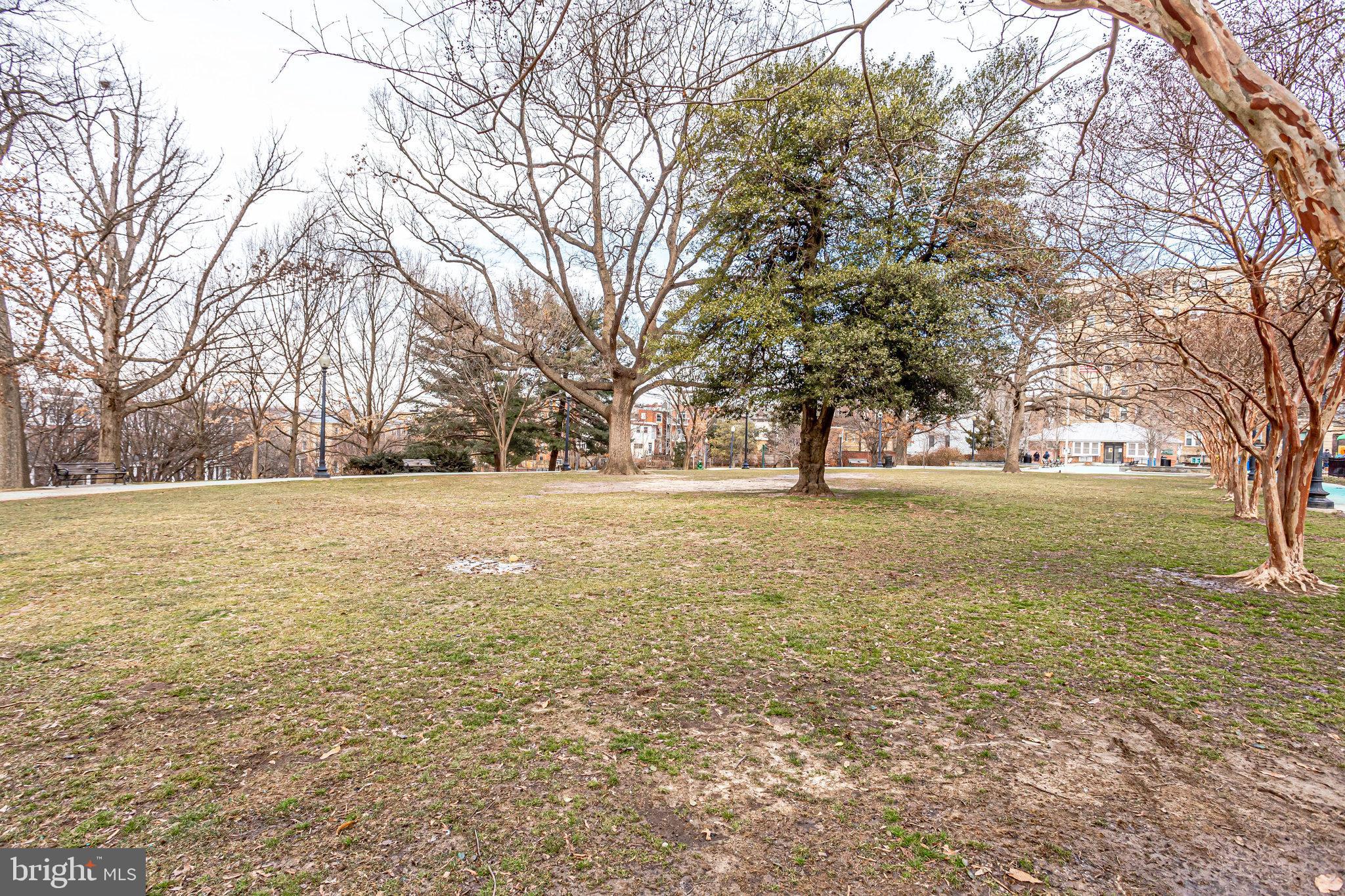 1954 Columbia ROAD NW Unit: 509